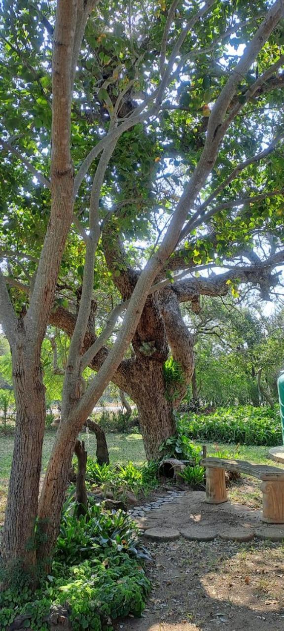 Cosy Corner Apartment Kampersrus AH Ngoại thất bức ảnh